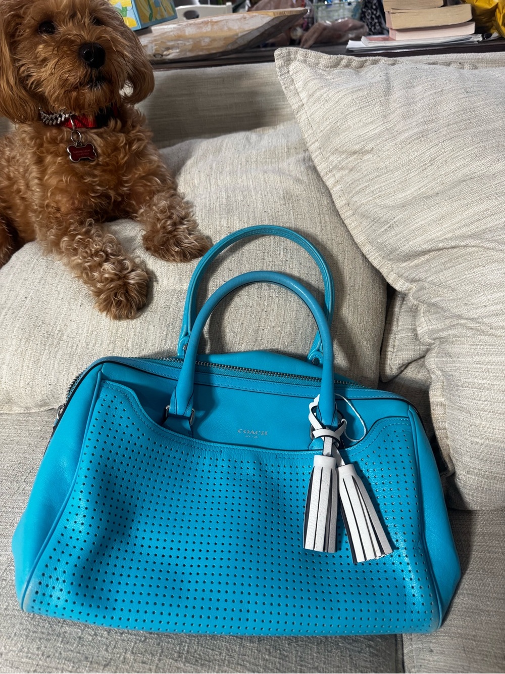 Coach Turquoise Perforated Leather Satchel with Tassel